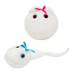 Pack of 2 Plush Toys: Egg and Sperm