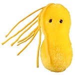 Plush Microbe Toy "Ulcer"