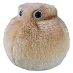 Plush Microbe Toy "Fat Cell"