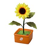 'Hanappa' Robot Flowers