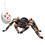 RC Tarantula