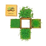 Edible Garden