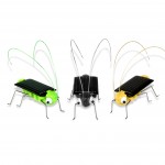 Solar Bugs
