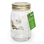 Butterfly in a Jar