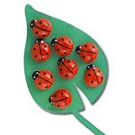 Ladybug Push Pins