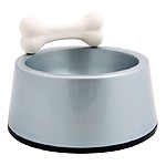 Dog Feeding Station with Bone