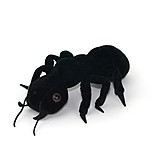 Black Ant Plush Toy