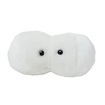 Cavity Plush Toy