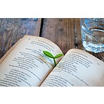 Sprout Bookmark