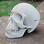 Vince Cardboard Human Skull