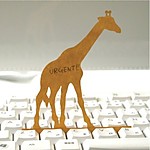 "Deng On" Keyboard Message Card Giraffe