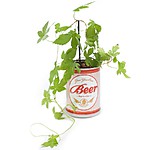 Beer Garden