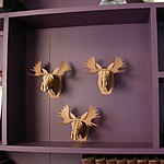 "Micro-Fred" Small Moose Trophy