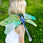 Totem Dragonfly