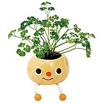 'Taterpots' Spuds that Sprout