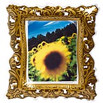 Inflatable Gilded Frame