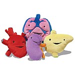 “I Heart Guts” Set of 4 Plush Internal Organs