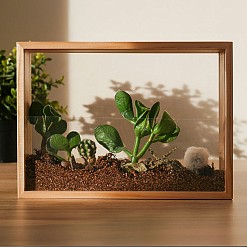 Kit pour créer un mini jardin dans un cadre en bois
