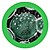Microscopic image of Chlamydia bacteria