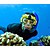 Underwater Digital Camera Mask"Liquid Image"