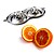 Double Design Juice Juicer
