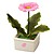 Or a pink gerbera.