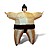 Inflatable Sumo Wrestler, Coach and Chef Costumes