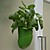 Beanpod Organic Herbs