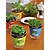 Self-Watering Herb Growing Kit

Leafresh Cultivation Kits