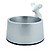 Cat Feeding Station with Mouse