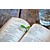 Sprout Bookmark