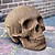 Vince Cardboard Human Skull