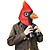 Cardinal Bird Mask