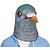 Pigeon Mask