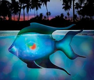 Swims autonomously for up to 8 hours