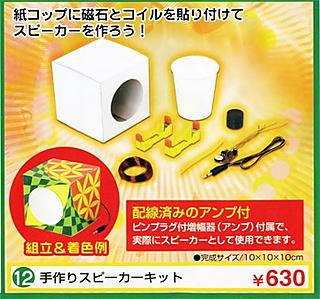 This is what the kit includes