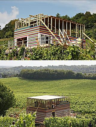 The house sits in a vineyard in Dorking, Surrey 