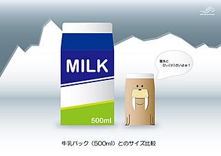Fridgeezoo and the typical Japanese milk carton