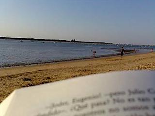 Relaxing reading at the beach