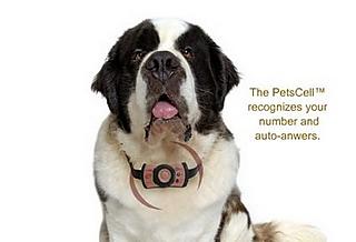 GPS technology that keeps track of your dog
