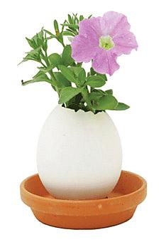 A petunia growing out of an egg?