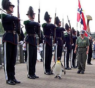 Nils Olav inspecting the troops. Photo: ritemail-amazing.blogspot.com