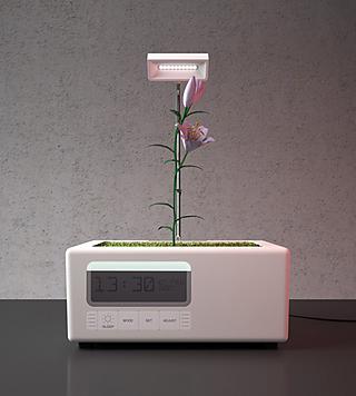 Plant Alarm Clock