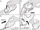 Instructions for using Tape de Goo 