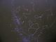 Constellation projection. Photo by The Gadgeteer