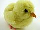 Your new best friend is a robotic baby chick