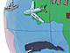 Match the animals with different African countries