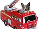 Your cat can be a fireman for a day