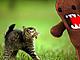 Kittens are afraid of him