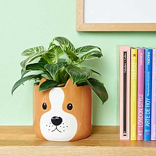 Pot de fleurs original en forme de chien